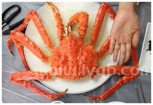 帝王蟹是螃蟹吗(帝王蟹不是螃蟹)