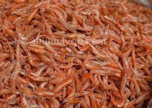 虾米的功效与作用(虾米的功效与作用)