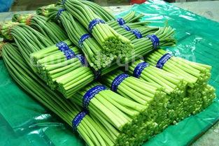 蒜苔是发物吗口腔溃疡可以吃补药炖鸡吗