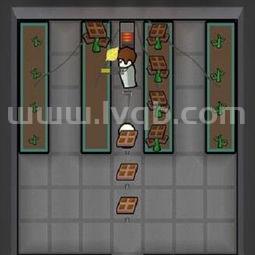 巧克力原料巧克力的原料是什么